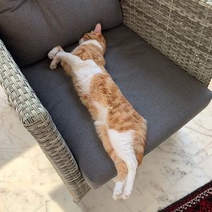 Meet your Posher, Nada